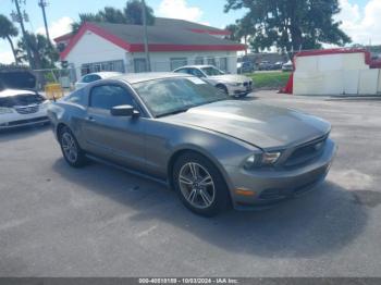  Salvage Ford Mustang