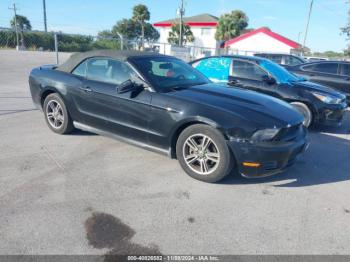  Salvage Ford Mustang