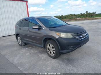  Salvage Honda CR-V