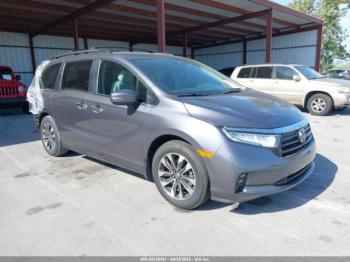  Salvage Honda Odyssey