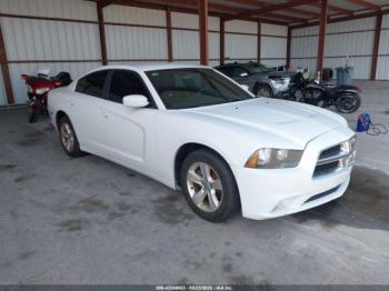  Salvage Dodge Charger