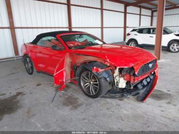  Salvage Ford Mustang