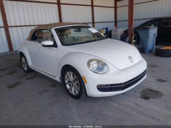  Salvage Volkswagen Beetle
