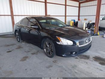  Salvage Nissan Maxima