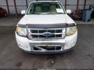 Ford Escape Limited Image 4