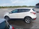Ford Escape Titanium Image 12