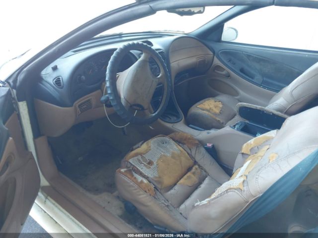 Ford Mustang Image 6