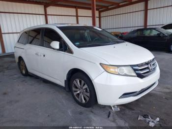  Salvage Honda Odyssey