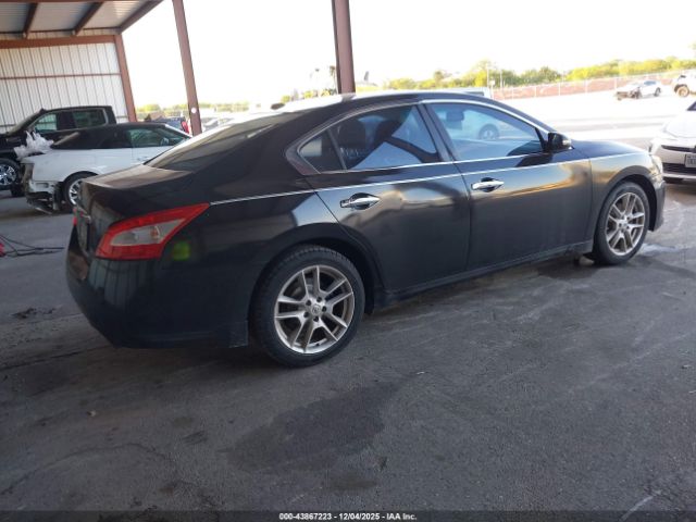 Nissan Maxima 3.5 Sv Image 3