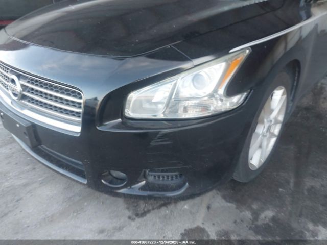 Nissan Maxima 3.5 Sv Image 8