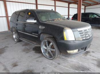  Salvage Cadillac Escalade